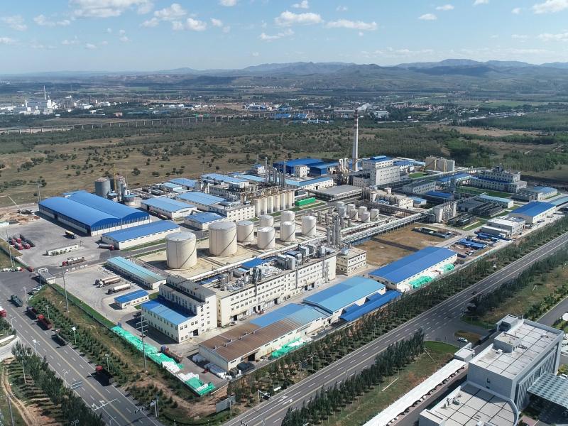 赤峰瑞阳化工有限公司2#锅炉计划检修报告